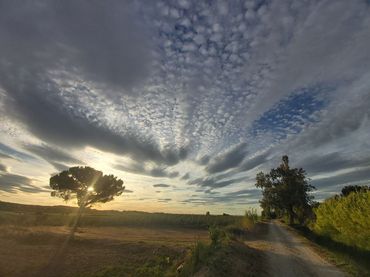 Terreno rustico in vendita a Puigverd de Lleida