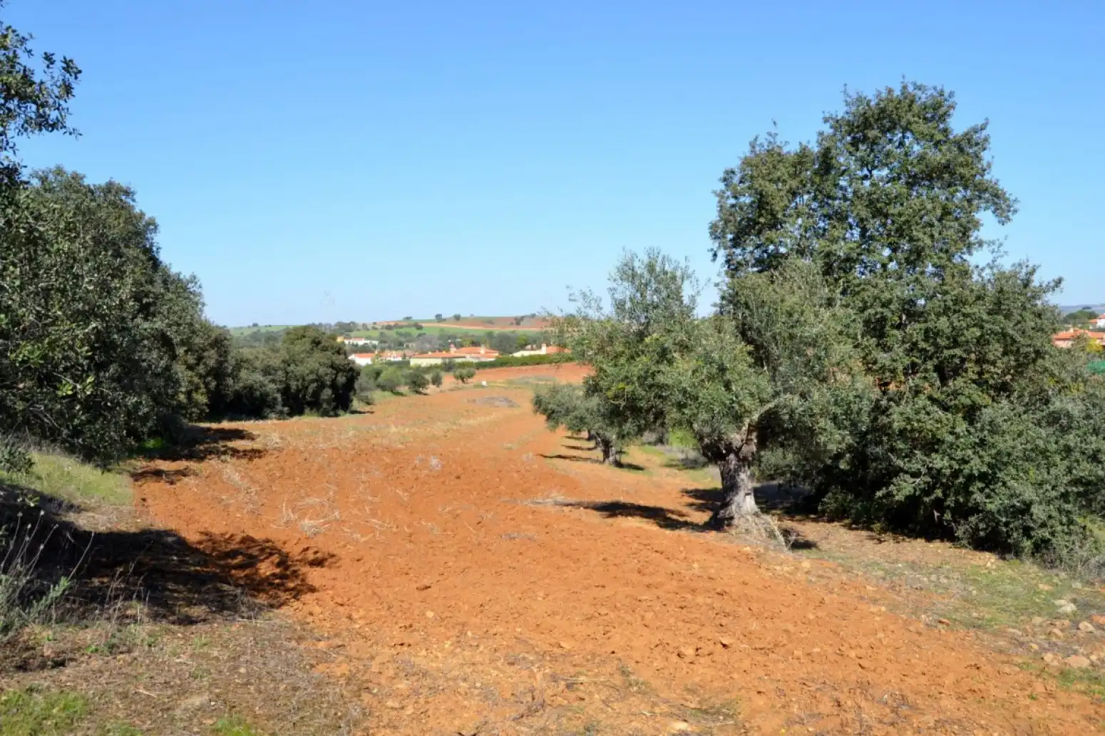 Terreni e lotti in vendita a Don Álvaro
