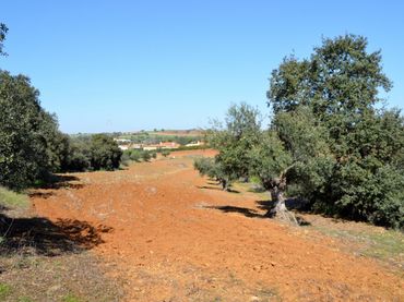 Terreno rustico in vendita a Don Álvaro