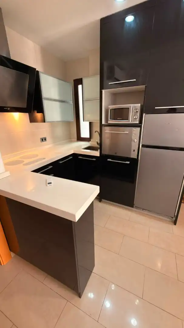 Cuina de Apartament de lloguer en Granada amb Moblat, Rentadora i Microones