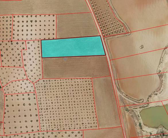 Terreno residencial en Venta en Torrenueva