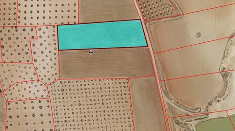 Finca Rúst. en venta en Torrenueva.