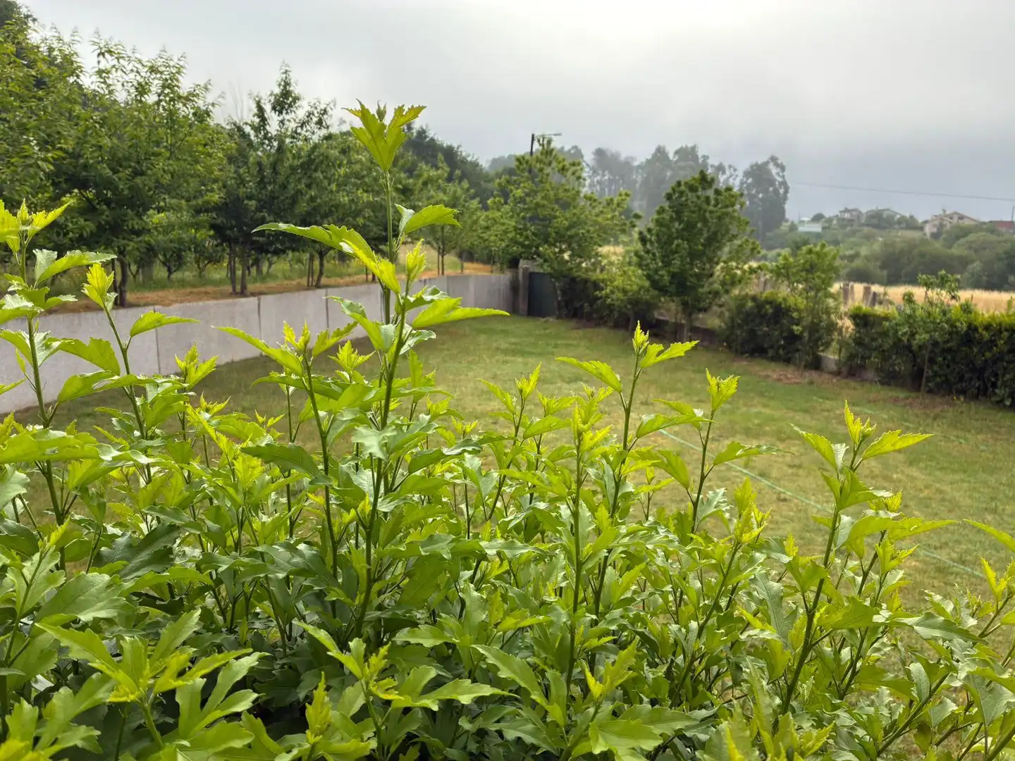 Xalet en venda a O Porriño, imagen 13