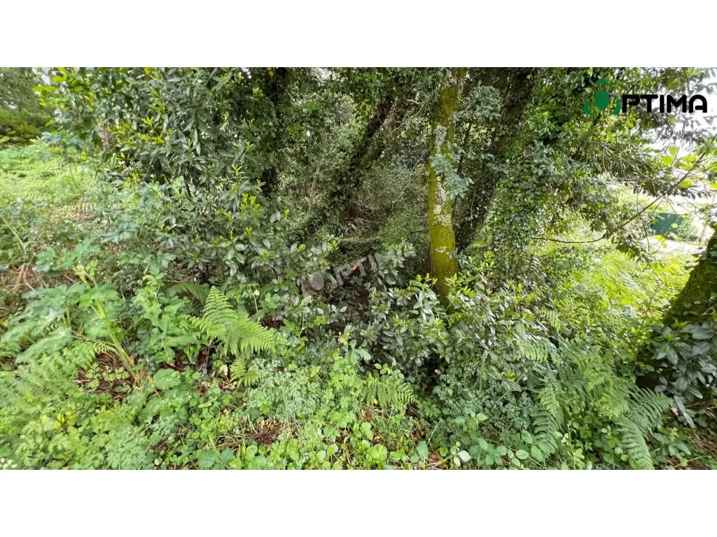 Terreni e lotti in vendita a Lugar Montecelo, imagen 3