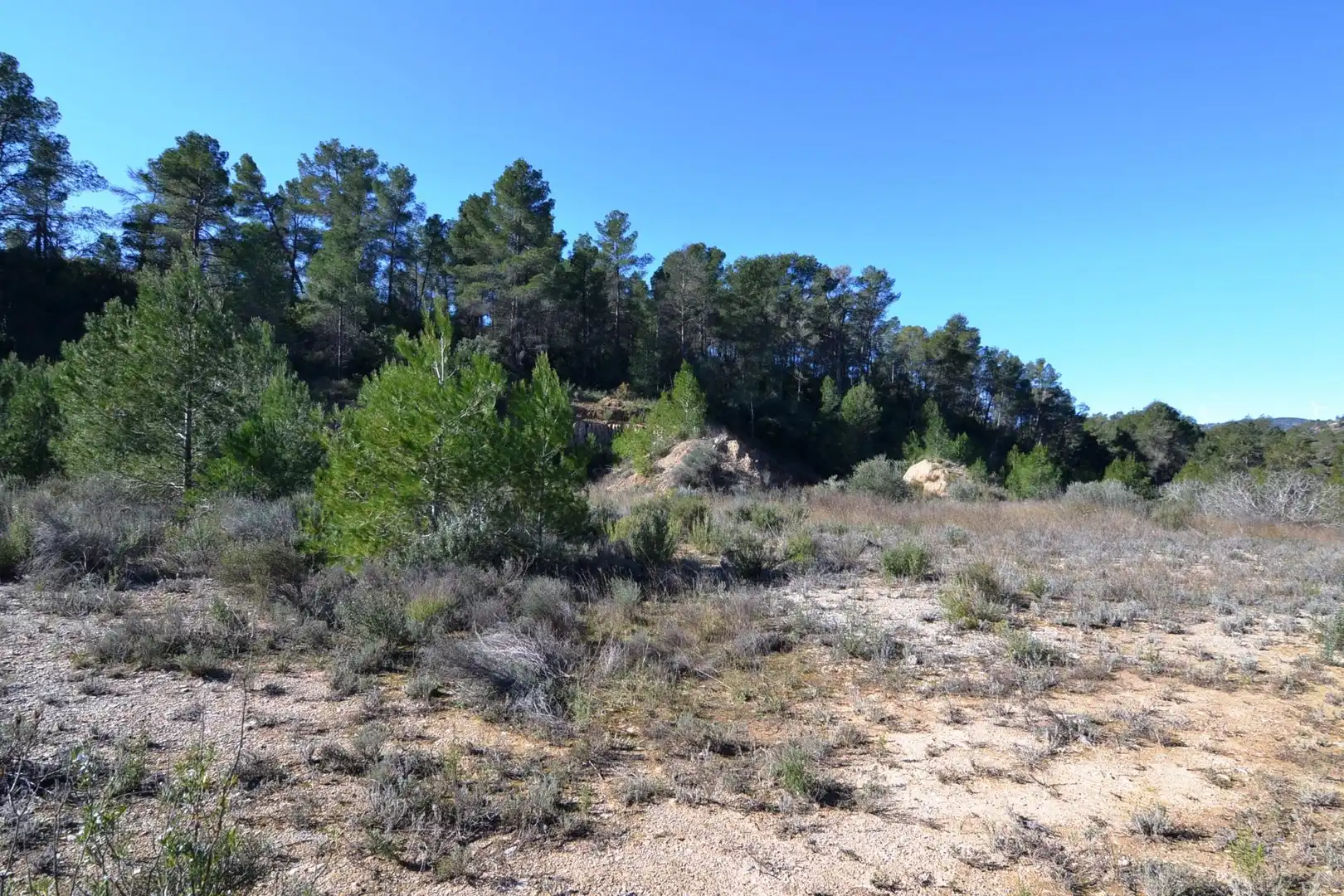 Rural land for sale in Ascó, imagen 18