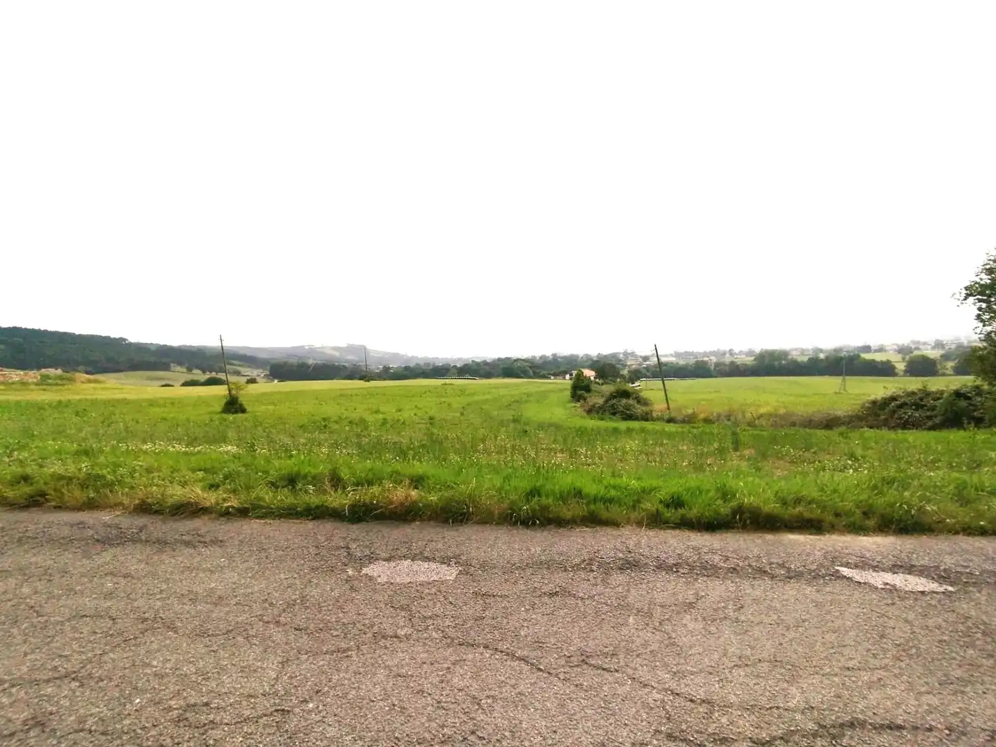 Terreny rústic en venda a Galizano, imagen 3