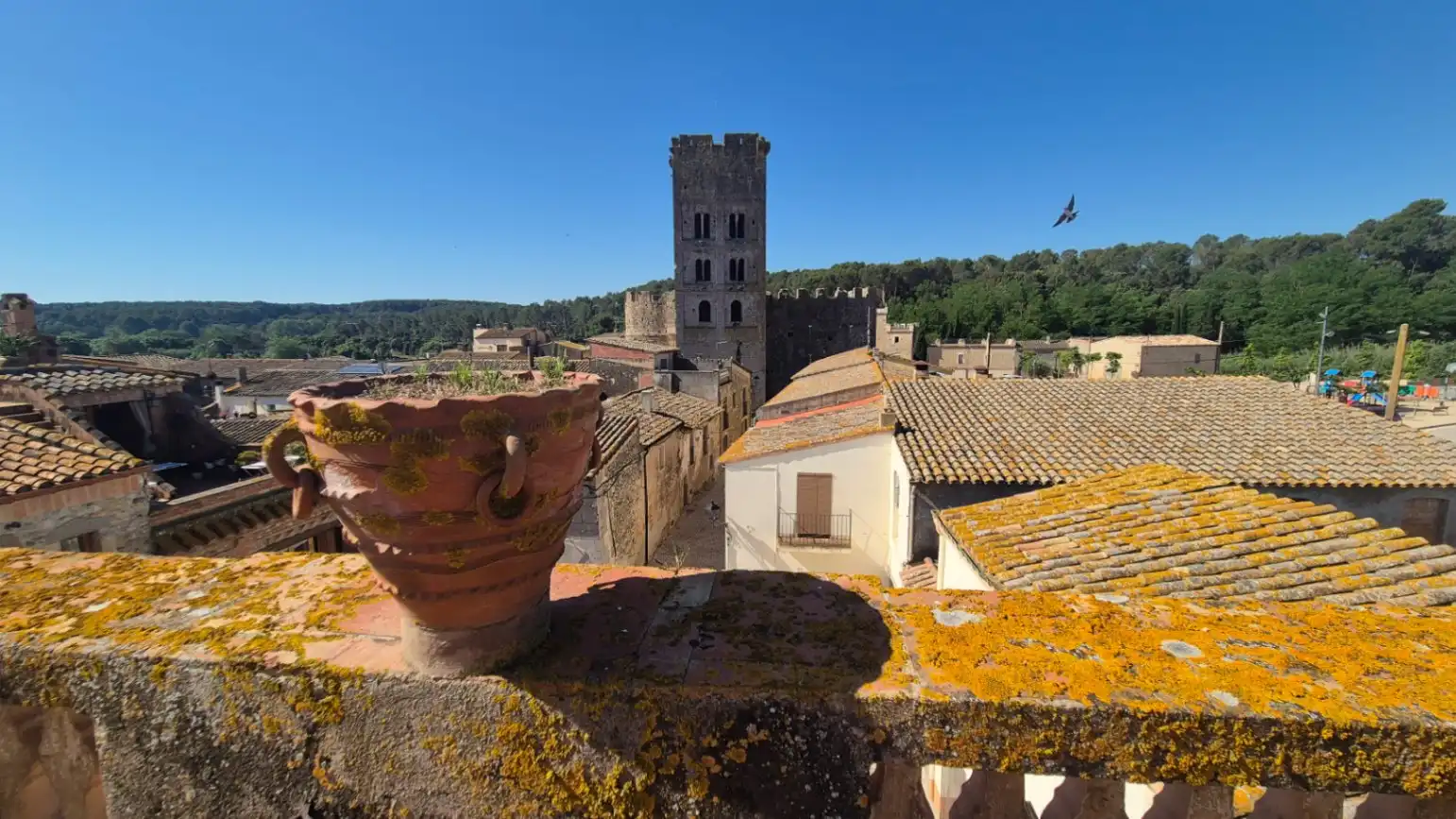 Vista exterior de Finca rústica en venta en Sant Miquel de Fluvià