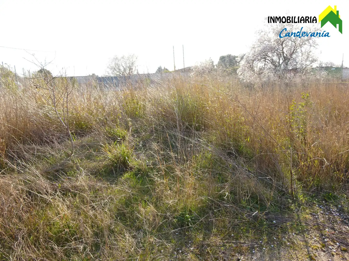 Terreno rustico in vendita a San Mateo de Gállego, imagen 2