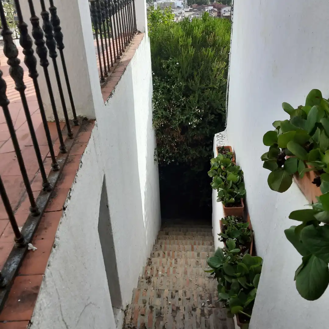 Chalet con terraza en venta en Centro, imagen 11