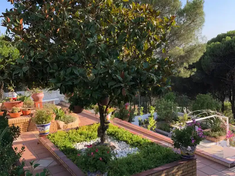 Jardí de Casa o xalet en venda en El Campillo (Huelva) amb Jardí privat, Traster i Moblat