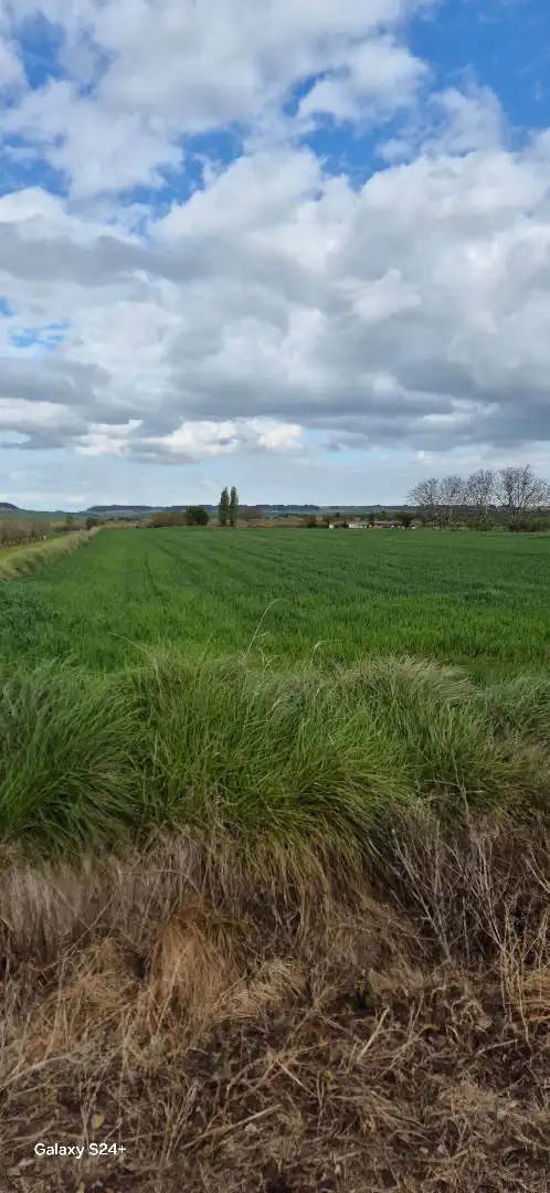 Terreny rústic en venda a Villamediana de Iregua, imagen 2