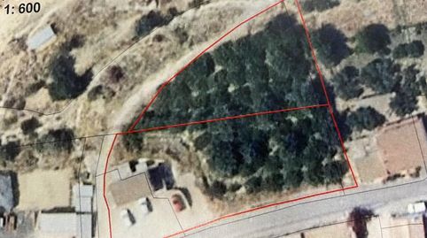 Foto 3 de Residencial en venta en Los López, Los Gallardos, Almería