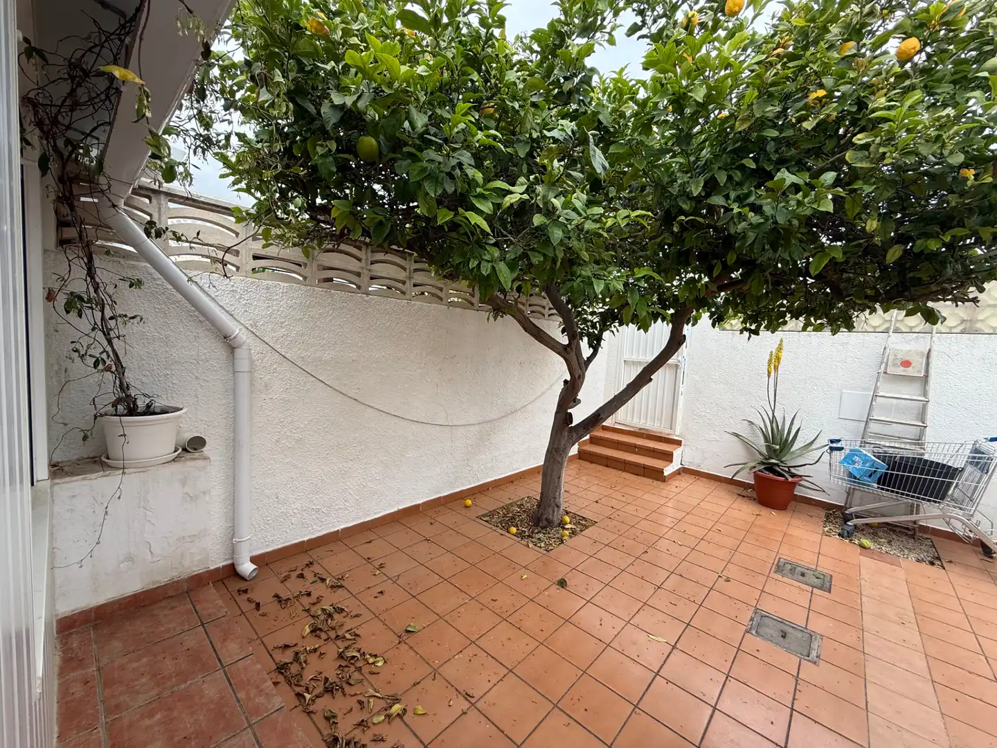 Villa avec terrasse à vendre à El Puerto, imagen 32