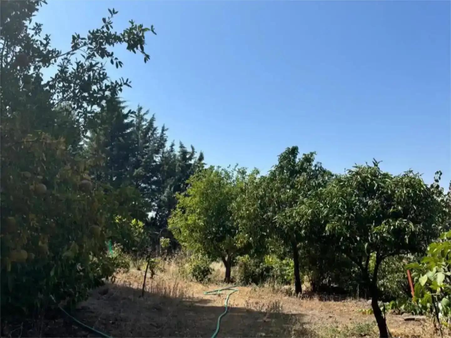 Finca rústica en venda en Madroñera amb Jardí privat, Piscina i Moblat