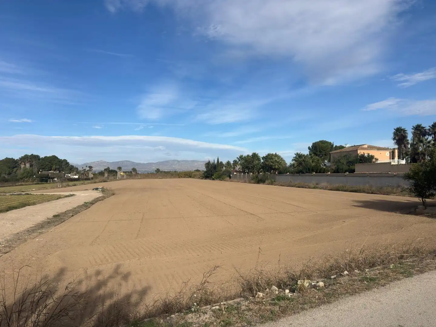 Rural land for sale in Catral, imagen 13