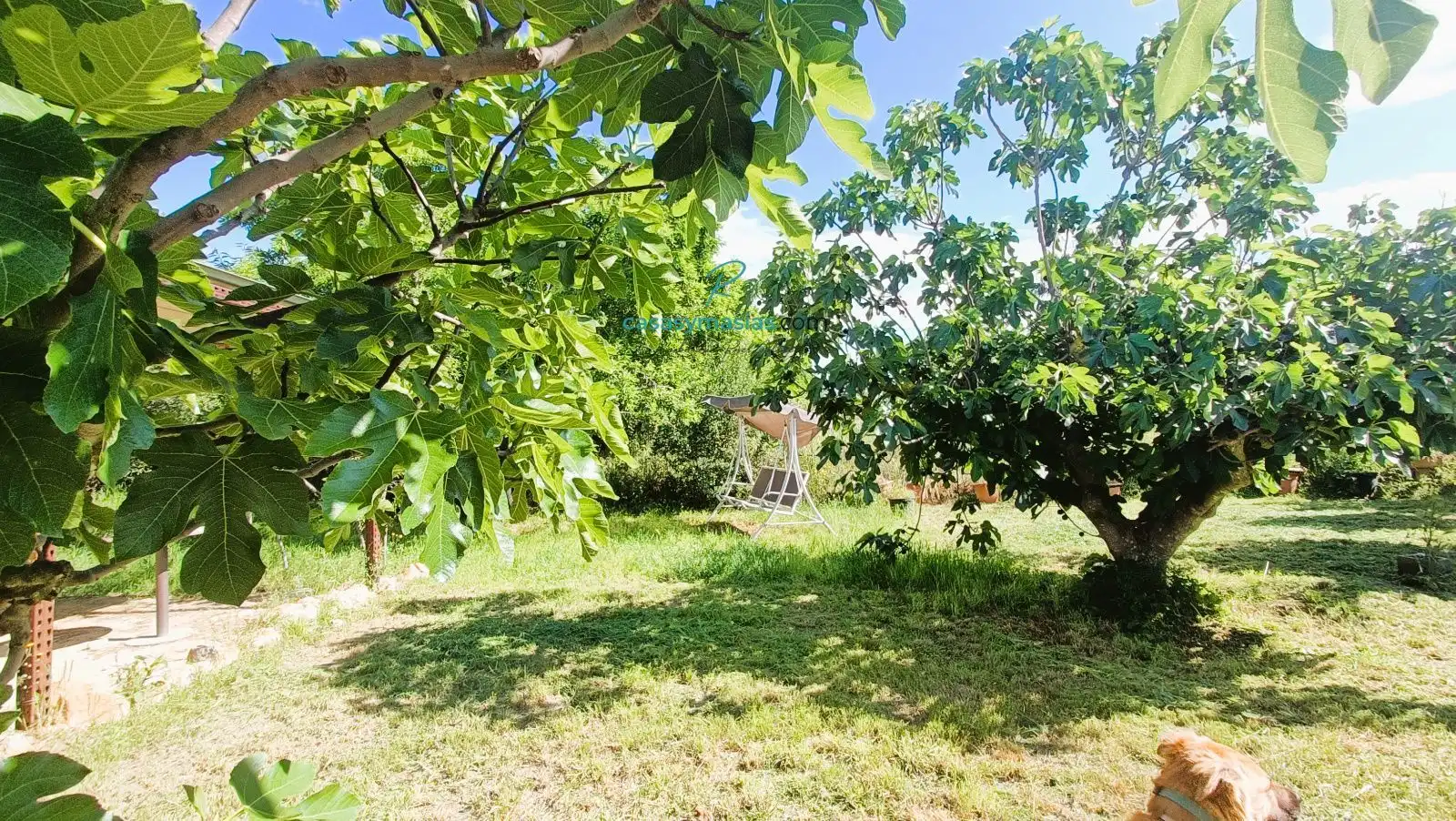 Finca rústica en venda en Castellet i la Gornal amb Calefacció, Jardí privat i Alarma