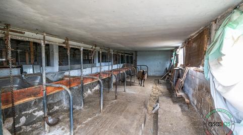 Photo 5 of Industrial buildings for sale in Gijón - Camino Marruca a la Perdiz, 263, Nuevos Roces, Asturias