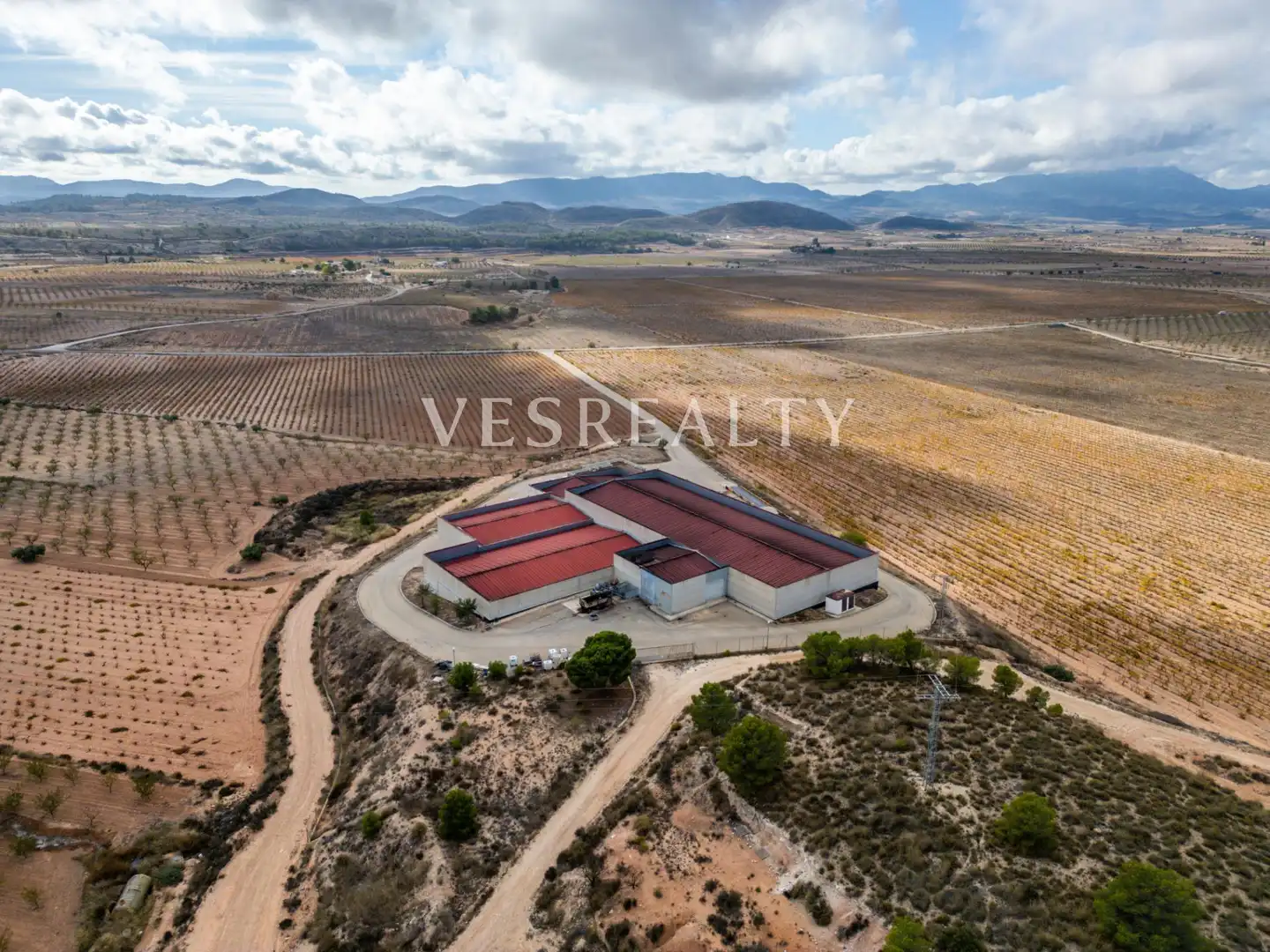 Landhaus zum Verkauf in Carretera Carretera de Jumilla, km 13, imagen 35