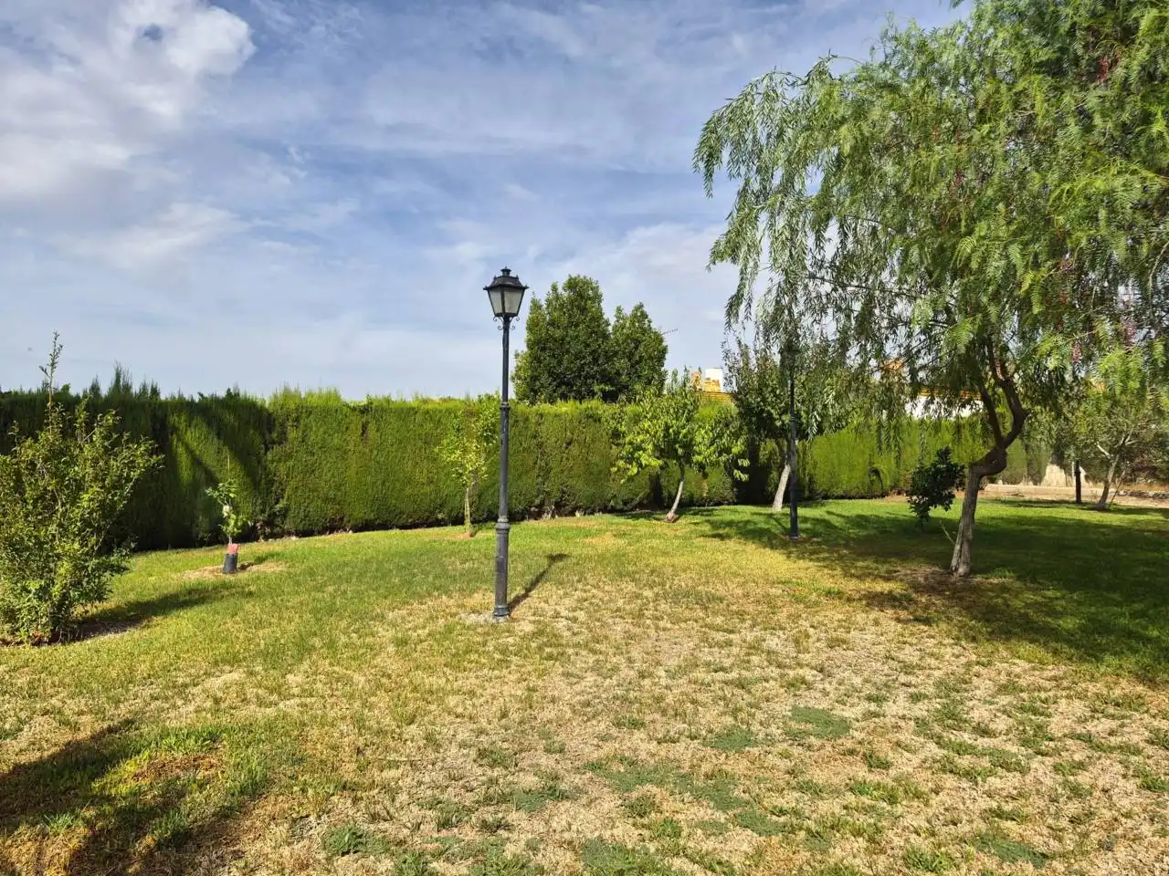 Garden of Country homes for sale in Pilas, Sevilla