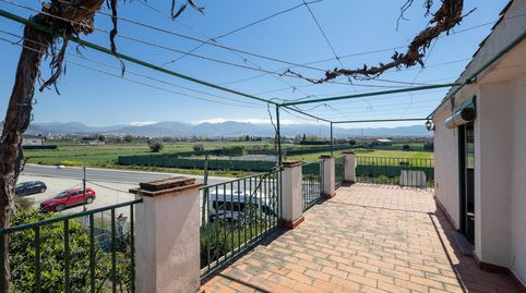 Foto 3 de Finca rústica en venta en Camino de Churriana, 76, Poniente, Armilla