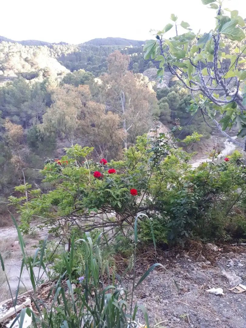 Jardín de Finca rústica en venta en Purchena con Jardín privado, Trastero y Amueblado