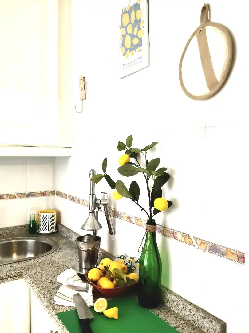 Kitchen of Apartments for rent in Granada  with Air Conditioner, Heating and Furnished