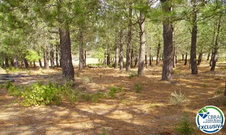 Terrenys i solars en venda a Garriguella, imagen 14