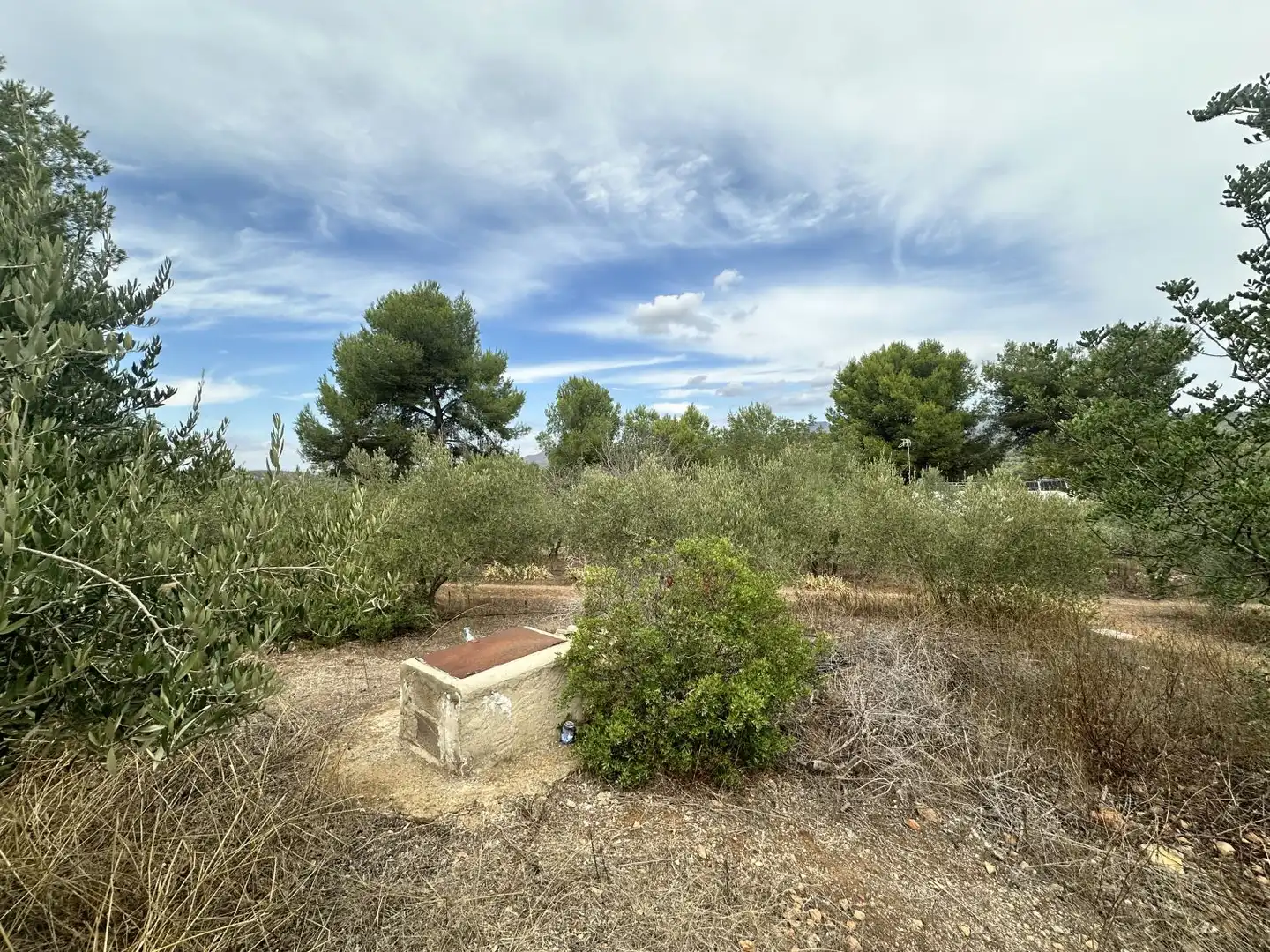 Xalet amb piscina en venda a Algar de Palància, imagen 5