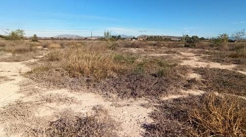 Foto 4 de Finca rústica en venda a Perleta - Maitino, Alicante