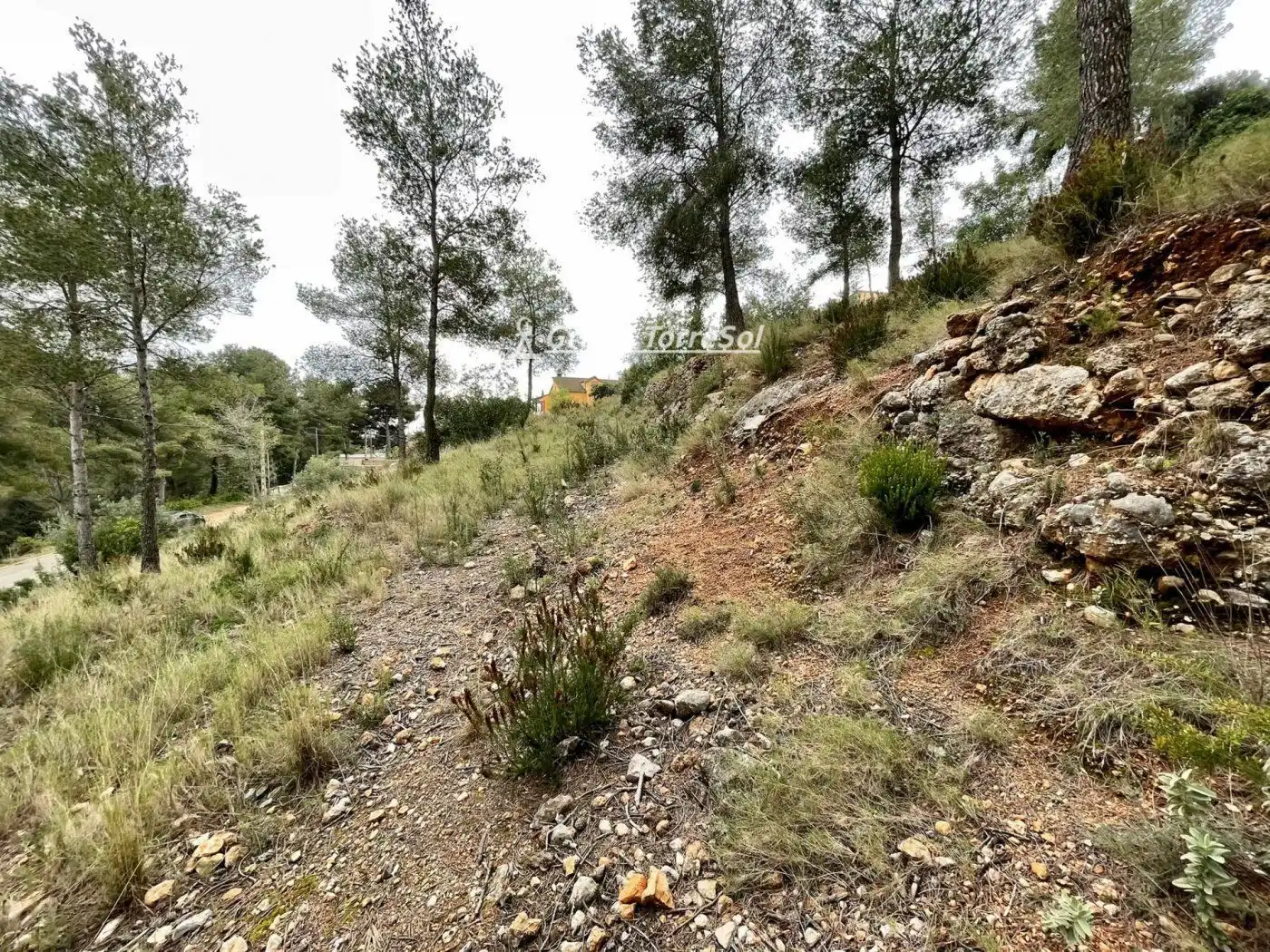 Rural land for sale in Segovia-Priorat, imagen 4