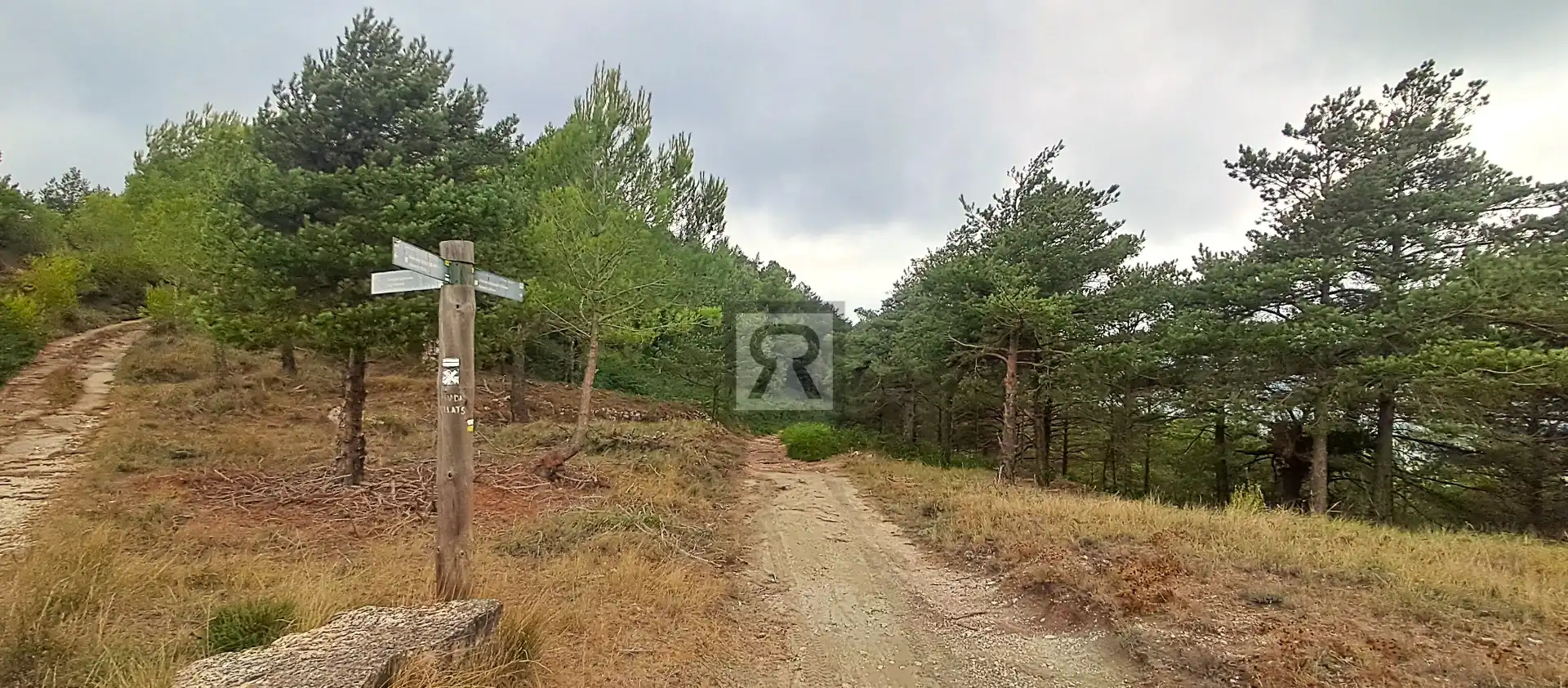 Terrain rustique à vendre à Coroneta 30, imagen 12