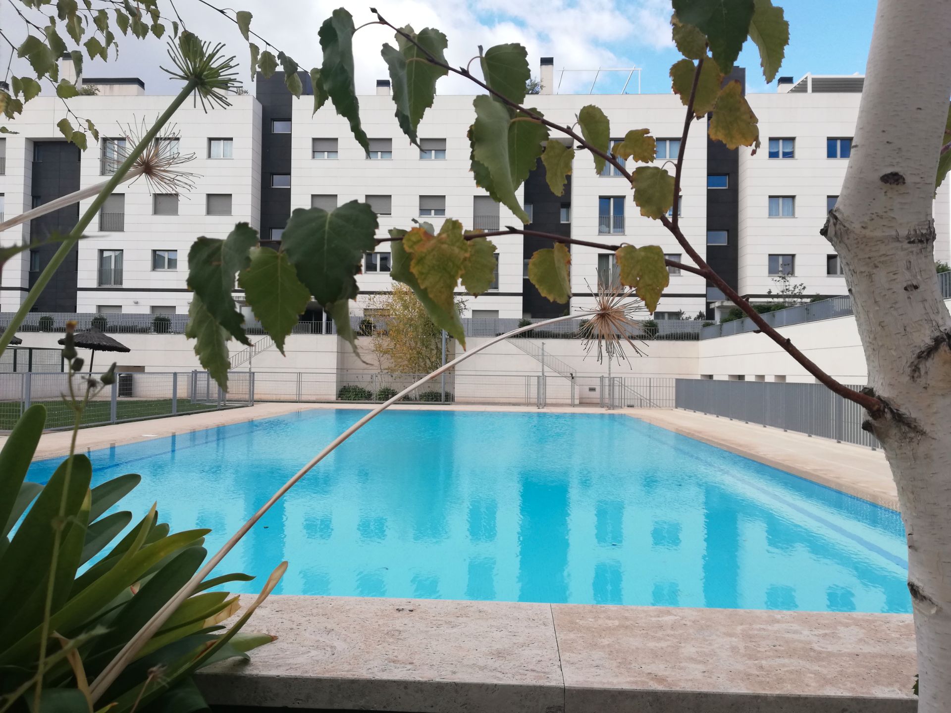 Piscina de Àtic de lloguer en Pozuelo de Alarcón amb Aire condicionat, Calefacció i Parquet