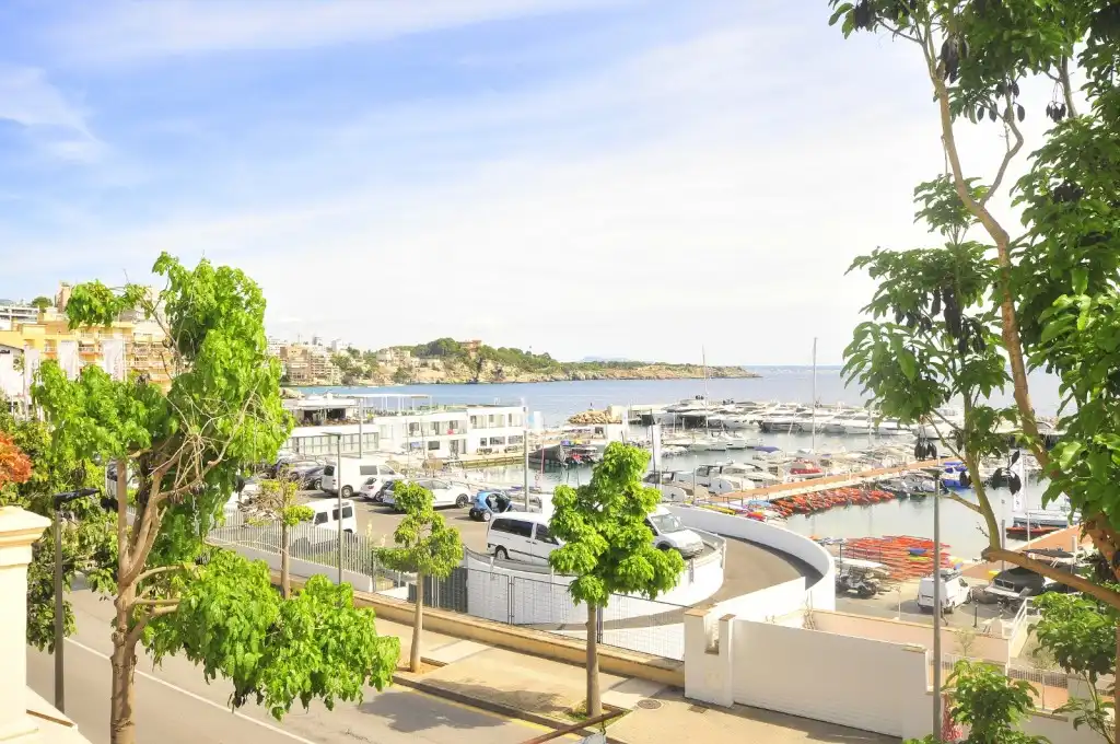 Vista exterior de Casa o xalet en venda en  Palma de Mallorca amb Jardí privat i Terrassa