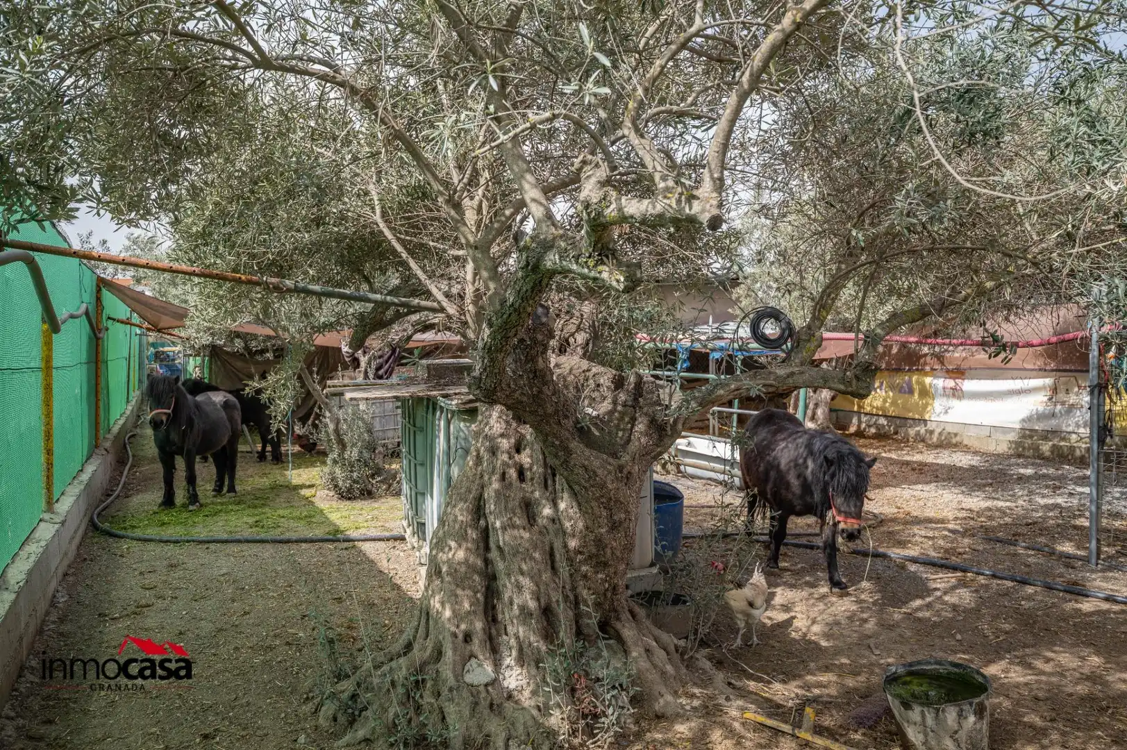 Garden of Residential for sale in Las Gabias