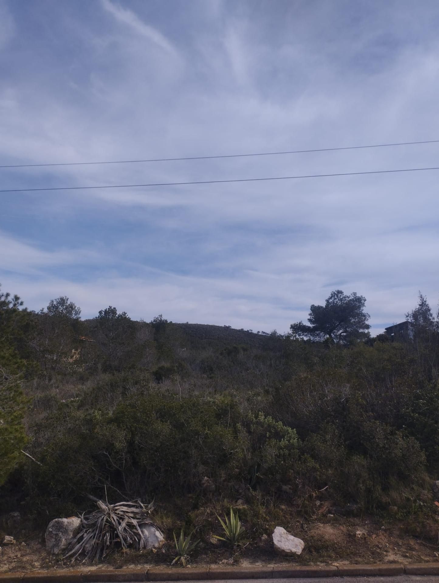 Industrial land for sale in La Bisbal del Penedès
