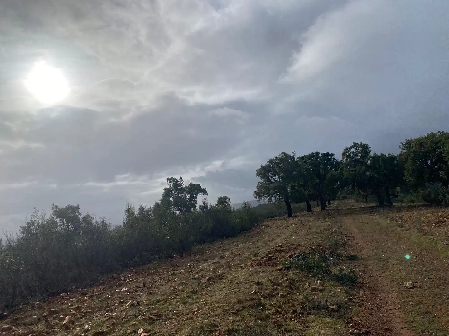 Terreno en venta en Anchuras