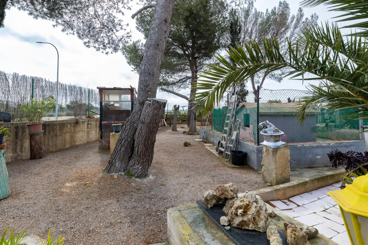 Jardín de Casa o chalet en venta en Llucmajor con Parquet, Terraza y Trastero