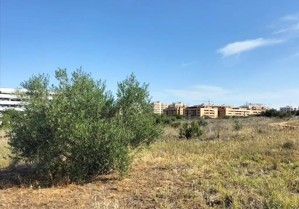 Terreni e lotti in vendita a Carretera de Palomares, imagen 27