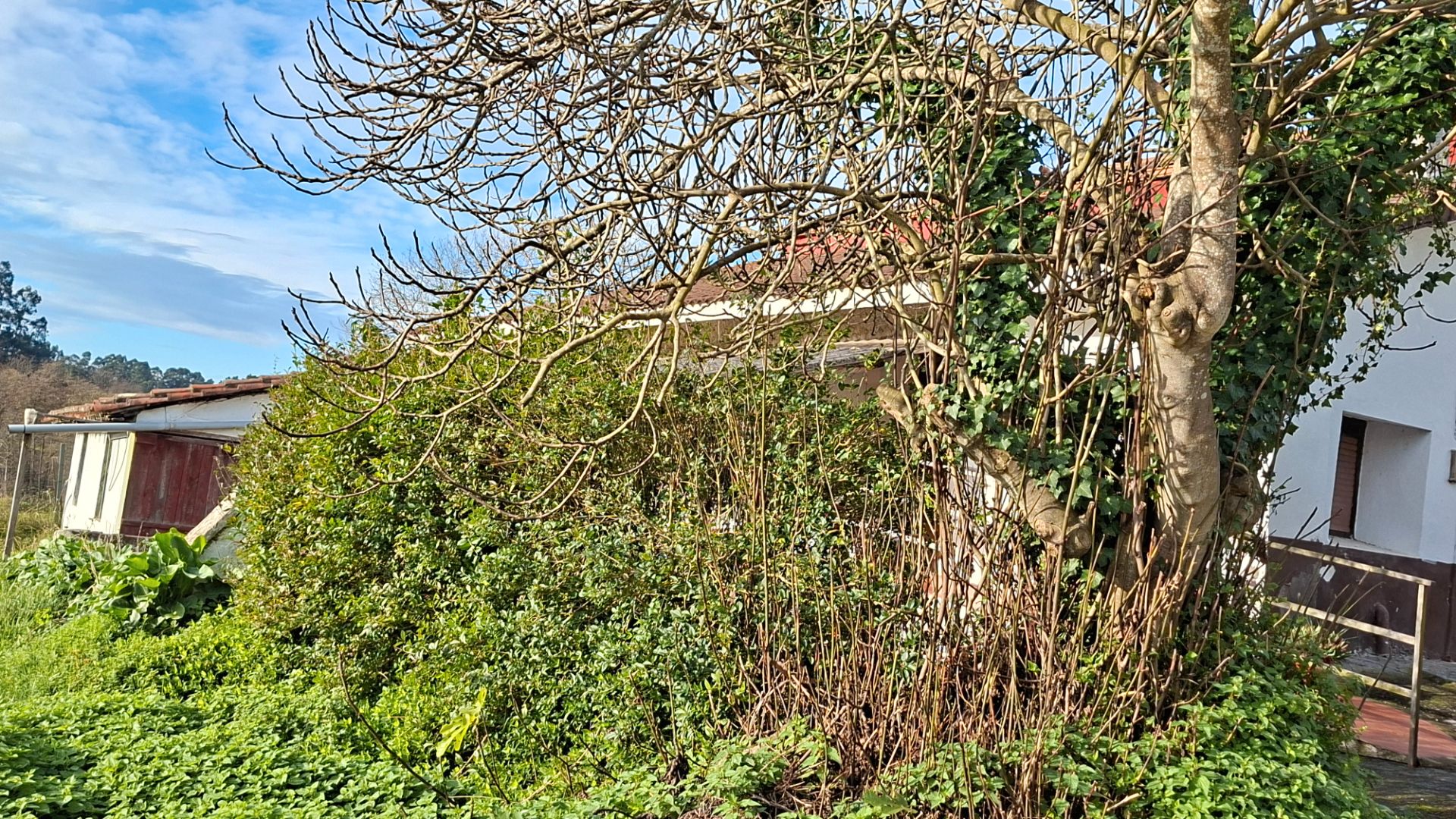 Finca rústica en venda en Erandio amb Jardí privat