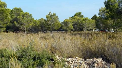 Foto 2 de Residencial en venda a Camí de Ca la Llisses, 16, Sant Jordi d'Alfama, L'Ametlla de Mar