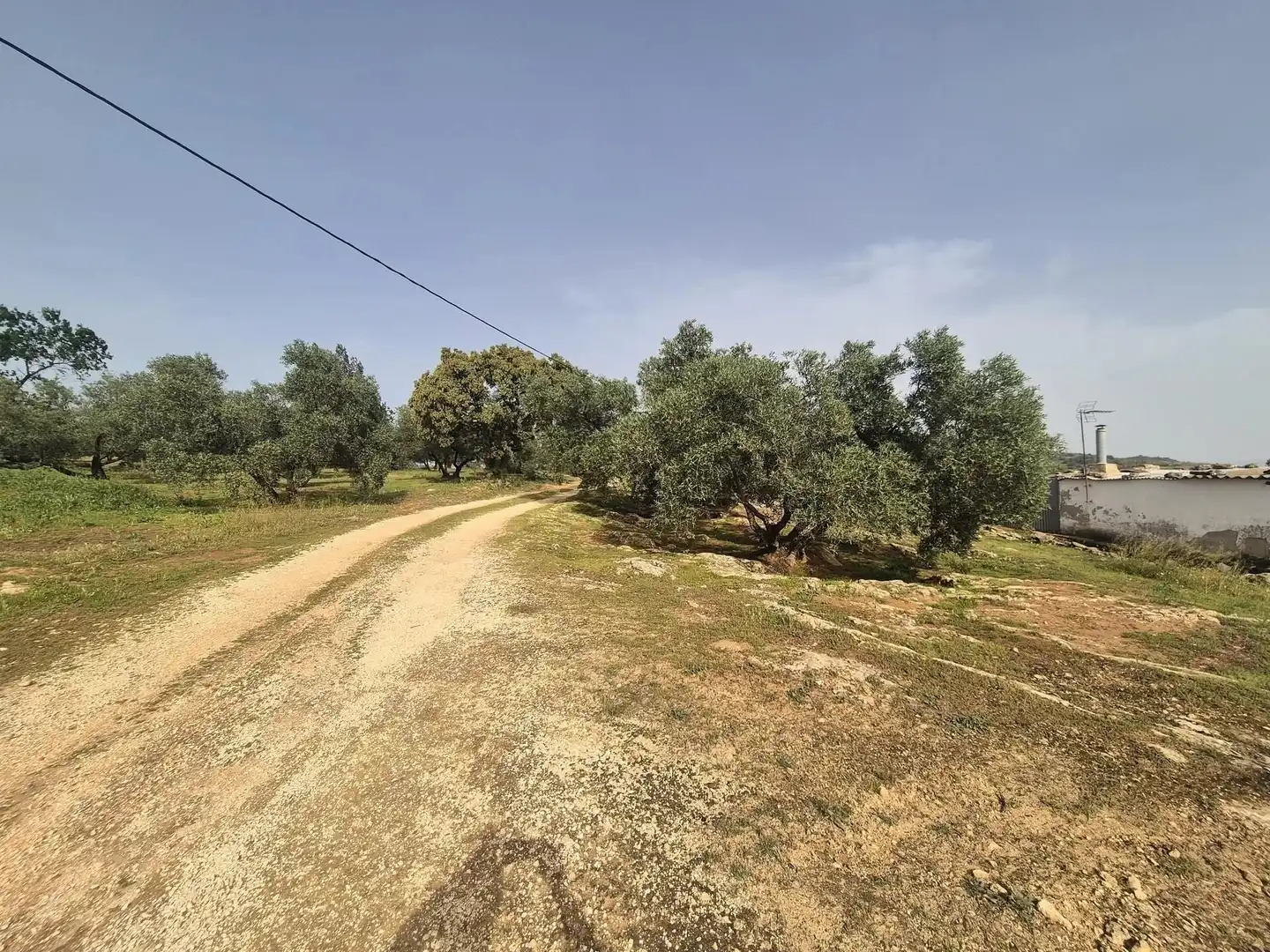 Terreny rústic en venda a Loja, imagen 17