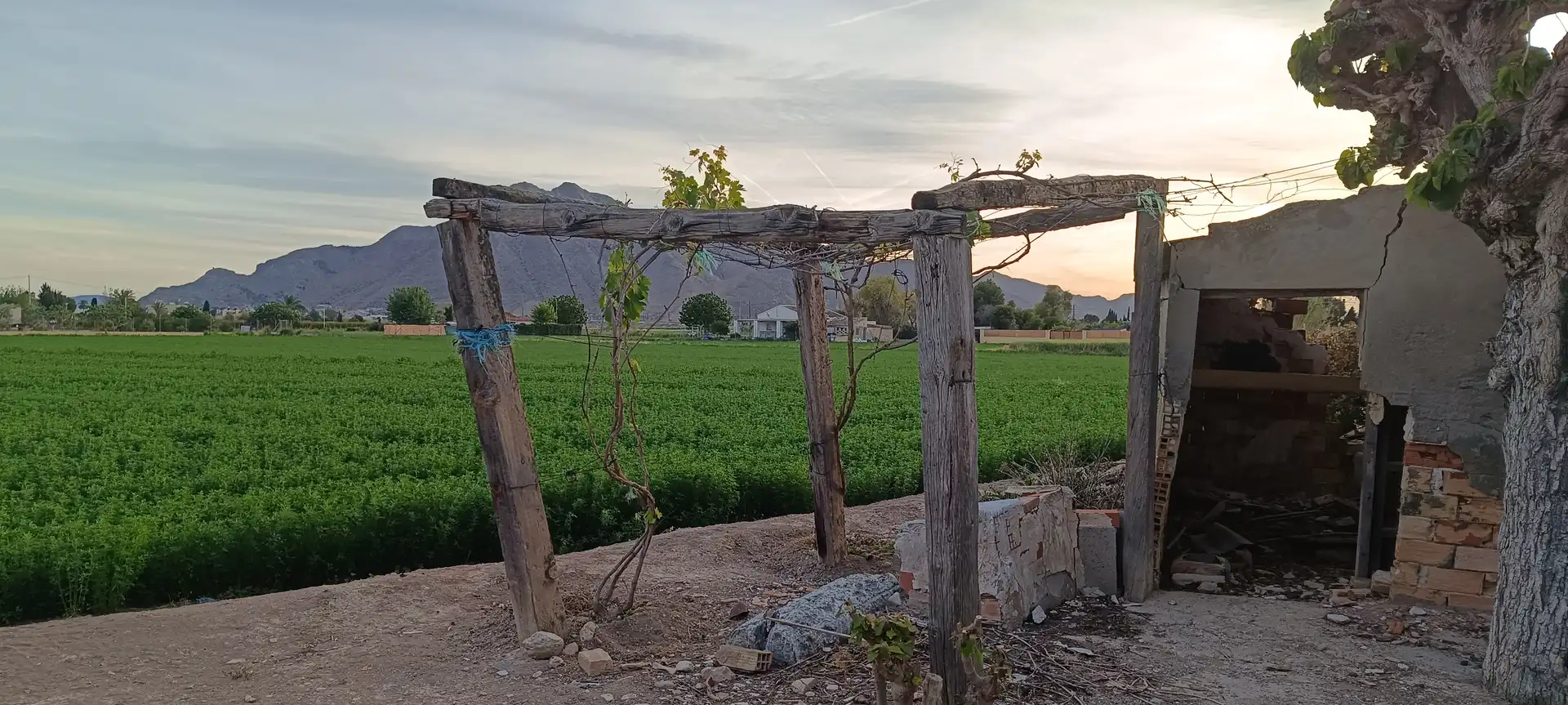 Finca rústica en venda en Callosa de Segura amb Jardí privat