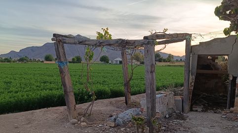 Foto 3 de Finca rústica en venta en Camino del Almajal, Callosa de Segura, Alicante
