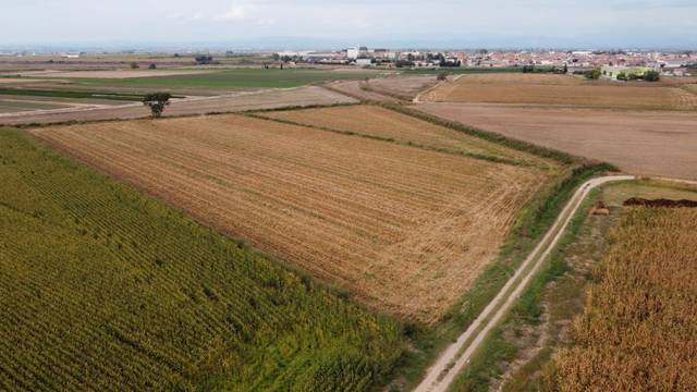 Terreno en Venta en N/A, -1 en Bell-lloc d'Urgell