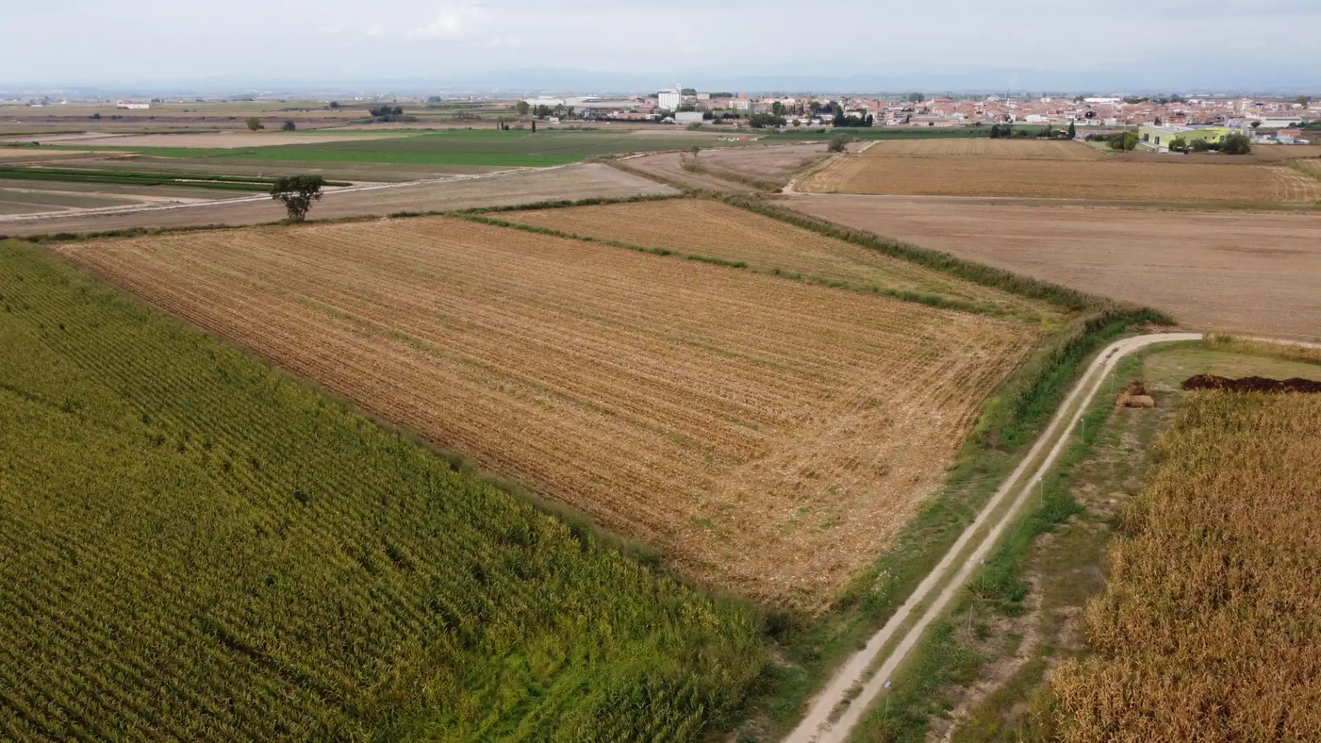 Terreny rústic en venda a Bell-lloc d'Urgell