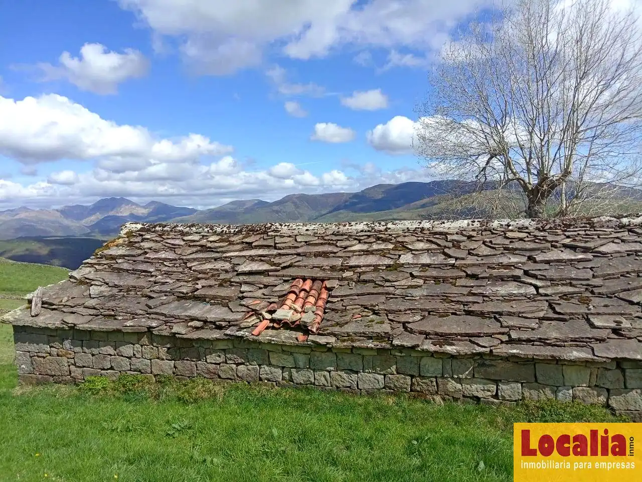 Vista exterior de Finca rústica en venta en San Pedro del Romeral