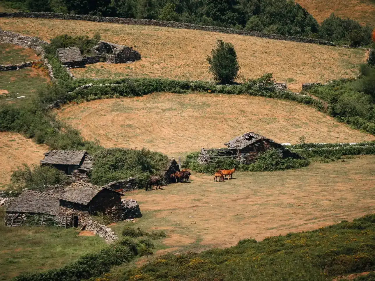 Vista exterior de Pis en venda en Allande, Asturias