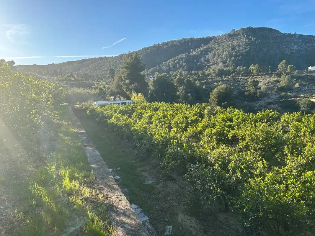 Finca rústica en venda en Oliva amb Moblat