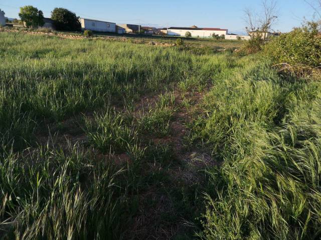 Terreno residencial en Venta en CARRETERA SELGUA  en Laluenga