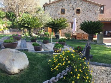 Detached house with pool for sale in Santa Susanna